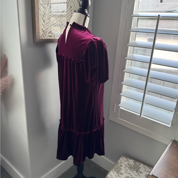 CeCe Velvet Flutter Sleeve A-Line Dress - Picture 8 of 11